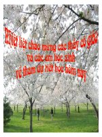 Ôn tập truyện và ký