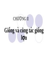 bài giảng giống và công tác giống lợn