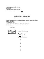 BÀI THU HOẠCH QUÂN SỰ 10