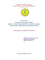 Đánh giá sự phát triển dịch vụ NHĐT tại ngân hàng TMCP công thương chi nhánh TP HCM 