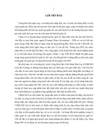 Một số giải pháp chủ yếu nhằm tăng cưòng thu hút FDI vào CHDCND Lào37