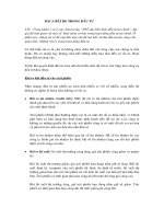 Rủi ro trong đầu tư 