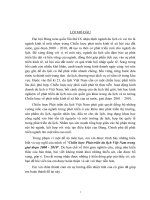 Chiến lược Phát triển du lịch Việt Nam trong giai đoạn 2000 - 2010