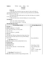 GIAO AN LOP 4TUAN 11