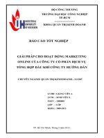 Báo cáo tốt nghiệp giải pháp nâng cao hiệu quả marketing online