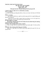 Đề tham khảo thi TN12 Ngữ văn (12)