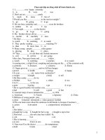 Bai tap trac nghiem - On tap cuoi nam lop 7