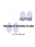 Tổng quan về thị trường tài chính 