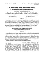 ẢNH HƯỞNG CỦA SODIUM CHLORIDE TRÊN CÁC BIẾN ĐỔI HÌNH THÁI VÀ SỰ TRAO ĐỔI KHÍ Ở LÁ MAI DƯƠNG MIMOSA PIGRA L.