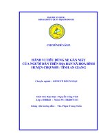 Hành vi tiêu dùng xe gắn máy của người dân trong địa bàn xã hoà bình 