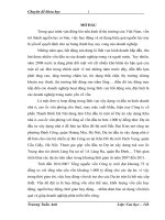 “ Thực trạng huy động và sử dụng vốn huy động của Công ty cổ phần Thanh Bình Hà Nội” 