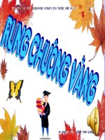 RUNG CHUONG VANG (THI HSG LOP 5 vong 2 2009