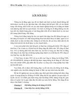 Hệ thống thông tin di động số GSM.