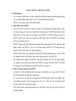 Quản lý rủi ro lãi suất tại ngân hàng TW