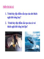 Bài giảng môn sinh học THCS :