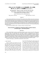 SỬ DỤNG VẬT LIỆU TỬ DIỆP ĐỂ NGHIÊN CỨU ẢNH HƯỞNG CỦA MUỐI ĂN ĐỐI VỚI QUANG HỢP Ở CÂY MAI DƯƠNG (