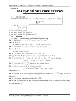 Nhi thuc Newton_Chon Loc