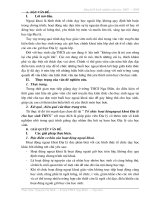 sáng kiến kinh nghiệm năm học 2008 - 2009