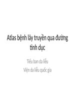 Át lát các bệnh lây nhiễm qua đường tình dục