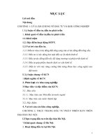 THỰC TRẠNG ĐẦU TƯ PHÁT TRIỂN KCN TRÊN ĐỊA BÀN HÀ NỘI.