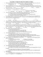 Cau hoi ly thuyet phan co hoc on thi DH CD