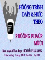 T.31_Ôn tập Hình học8_HK1