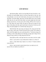 KIẾN NGHỊ NHẰM NÂNG CAO HIỆU QUẢ SỬ DỤNG VỐN LƯU ĐỘNG TẠI CÔNG TY CHIẾU SÁNG VÀ THIẾT BỊ  ĐÔ THỊ  