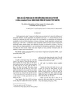Hiệu lực của phân lân và thời điểm (mùa) bón cho cà phê vối (Coffea canephora Pierre) kinh doanh trên đất bazan ở Tây Nguyên