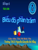 Số học 6:Tiết 108: Biểu đồ phần trăm