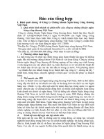 Khái quát chung về Công ty Chứng khoán Ngân hàng Công thương Việt Nam