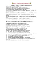 exercises- S- V agreement