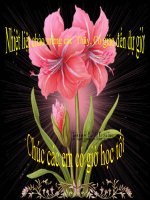 tiết 29: Công thức tính nhiệt lượng