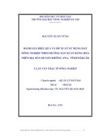 Đánh giá hiệu quả và đề xuất giải pháp sử dụng đất nông nghiệp theo hướng sản xuất hàng hoá trên địa bàn huyện krông ana, tỉnh đăklăk 