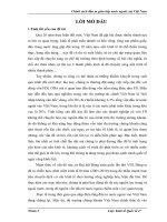 Chính sách thu hút đầu tư gián tiếp nước ngoài trong điều kiện hội nhập kinh tế quốc tế