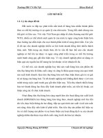 Kế toán tiêu thụ và xác định kết quả kinh doanh tại công ty TNHH Th­¬ng m¹i Phóc H­ng”.