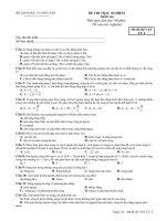 Thithửlần 4_Mỹ Đức A_Nguyễn hoàn long