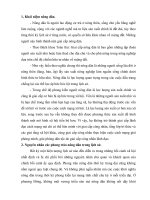 giai cấp nông dân và chiến tranh nông dân thời trung đại