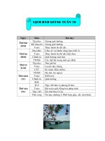 Giao an lop 3 - tuan 10(tk)