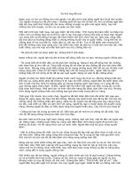 Sự tích ông đầu rau