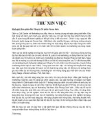 Mẫu Thư xin việc 