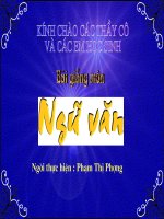 nhung ngoi sao xa xoi