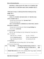 MỘT SỐ GIẢI PHÁP NHẰM NÂNG CAO HIỆU QUẢ HOẠT ĐỘNG CỦA CÔNG TY CỔ PHẦN TẬP ĐOÀN ĐẦU TƯ THƯƠNG MẠI CÔNG NGHIỆP VIỆT Á