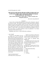 Hiệu quả của phối hợp NPK đến sinh tr-ởng và năng suất của cà phê chè Catimor thời kỳ kinh doanh trên đất đỏ bazan huyện H-ớng Hoá, tỉnh Quảng Trị