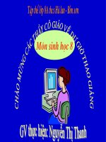 bài    hệ hô hấp