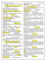 BT sóng điện từ