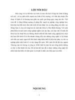 GIẢI PHÁP HOÀN THIỆN – NÂNG CAO HIỆU QUẢ NHẬP KHẨU THIẾT BỊ TOÀN BỘ Ở VIỆT NAM