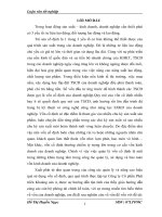 Vốn cố định và một số biện pháp chủ yếu nhằm nâng cao hiệu quả quản lý và sử dụng vốn cố định tại Công ty Cổ phần Phát triển Khoáng sản 4