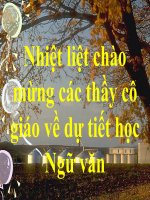 Ngữ văn 7.Sống chết mặc bay