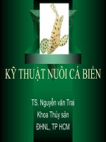 Kĩ thuật nuôi cá biển