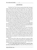 “Hoàn thiện công tác tạo động lực cho người lao động tại công ty Cổ phần Rượu Thủ Đô”